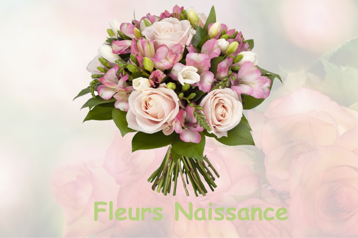 fleurs naissance SAINT-FRANCHY